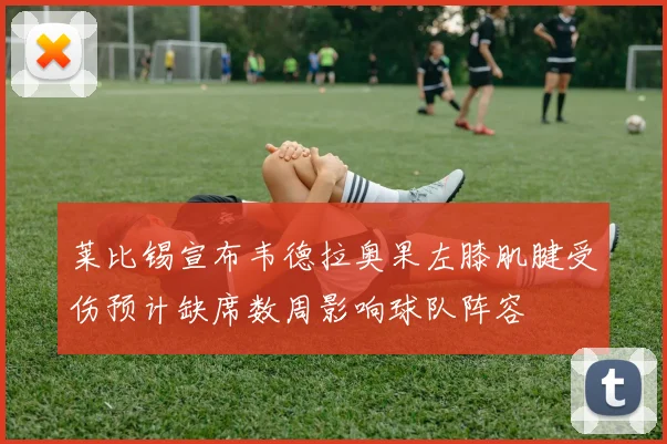 莱比锡宣布韦德拉奥果左膝肌腱受伤预计缺席数周影响球队阵容