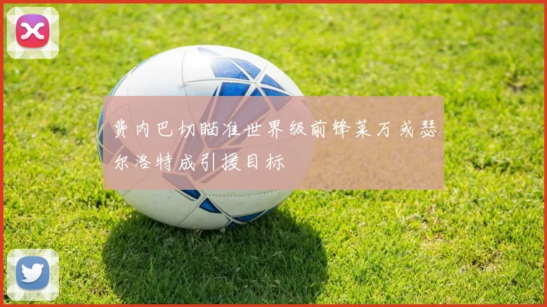 费内巴切瞄准世界级前锋莱万或瑟尔洛特成引援目标