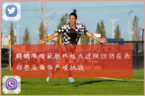 鹈鹕艰难获胜终结九连败但仍在西部垫底面临严峻挑战