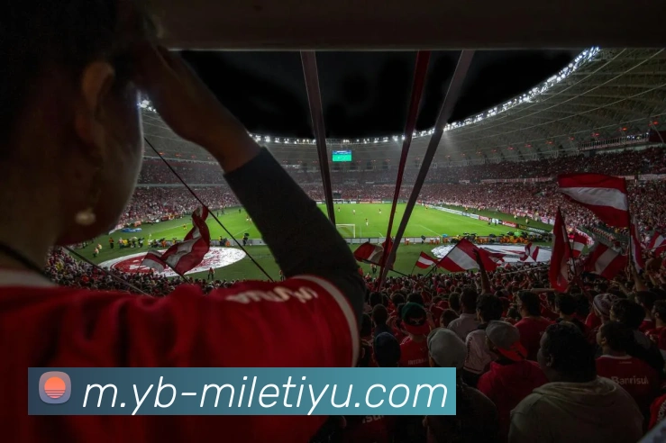 App Interface Preview