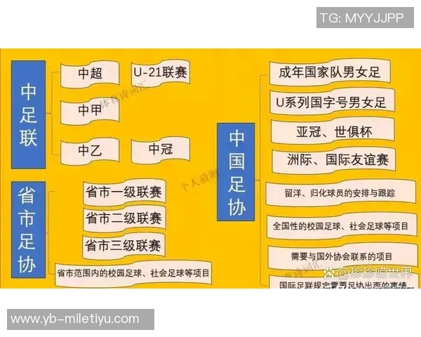 中足联每年十月设立职业联赛文明行动月推动足球文化建设与社会责任
